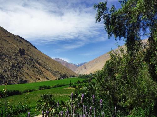 Bed & Breakfast Refugio Misterios De Elqui