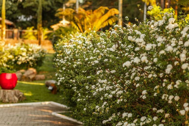 Hostal Pousada Bet�nia
