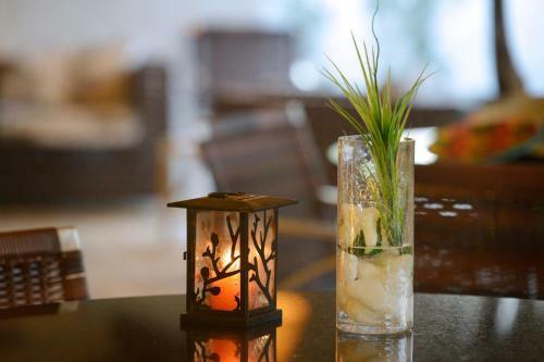 Hostal Oasis Tajaja Pousada