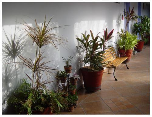 Apartamento Suitel 522 Eco Hostel