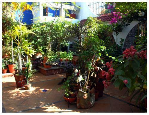 Apartamento Suitel 522 Eco Hostel