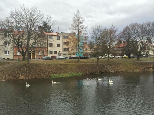 Posada Penzion- Leslav