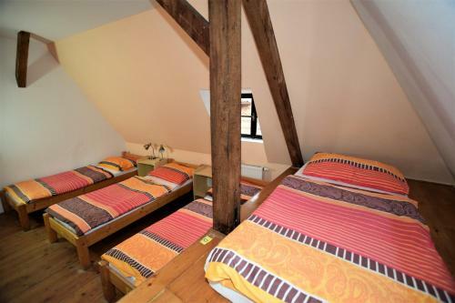 Travel Hostel