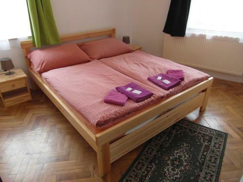 Hostal Pension U Soudu