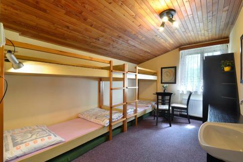 Lodge Horsk� Chata Je?ek
