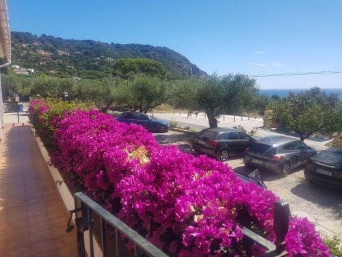 Hostal Ondina