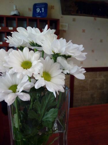 Aparthotel Apartmany Victoria
