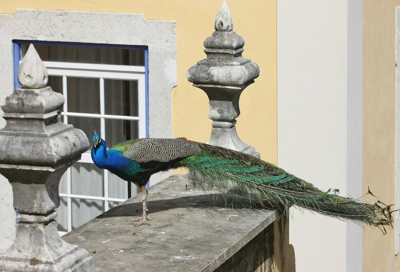 Hotel Solar Do Castelo