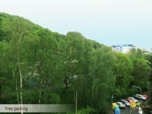 Apartment Slavia