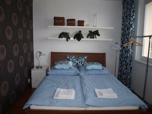 Apartm�n Drahovice