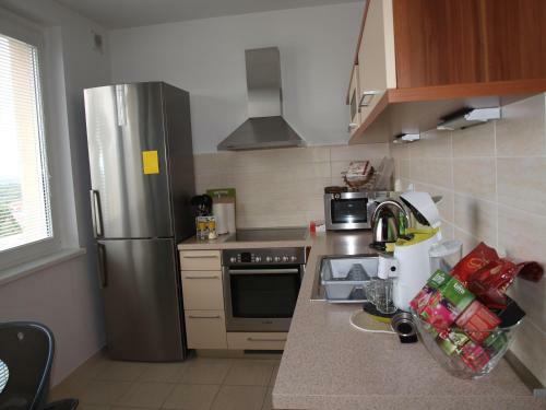 Apartm�n Drahovice
