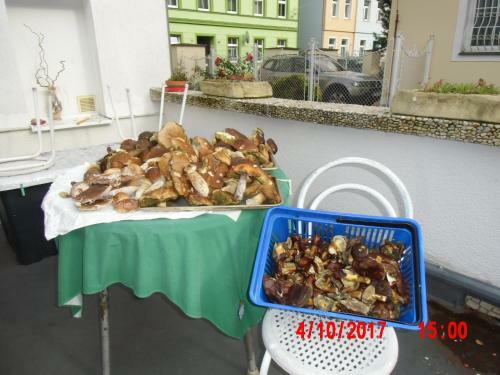 Hostal Pension U Kaktusu