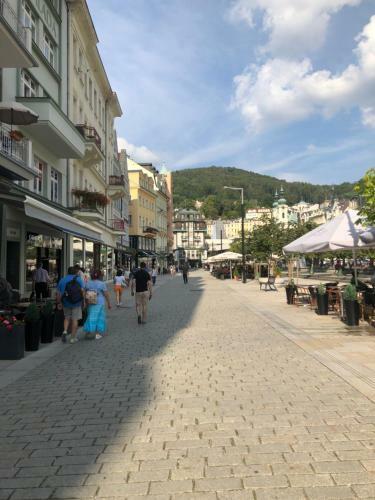 Apartm�n Orchidej U Vr�dla
