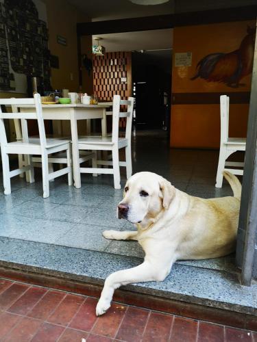 Sosahaus Hostel Mendoza