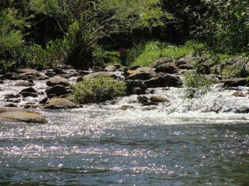 Bed & Breakfast Pousada Ch�cara Do Rio