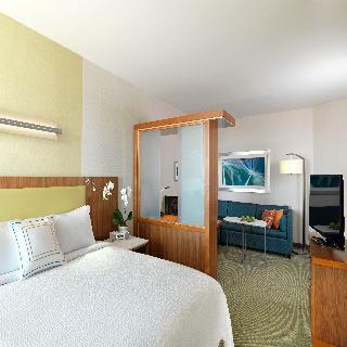 Hotel Springhill Suites By Marriott Anaheim Maingate