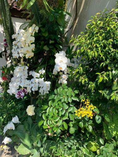 Hostal Pousada Novo Encanto Maresias