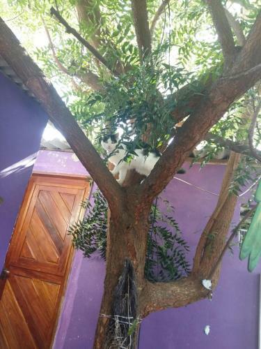 Hostel Margo