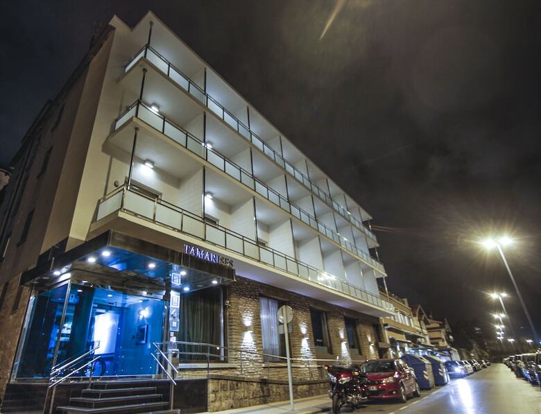 Hotel Petit Palace Tamarises