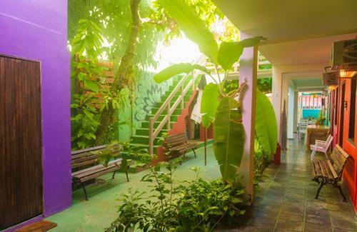 Hostal Pousada Do Cacau