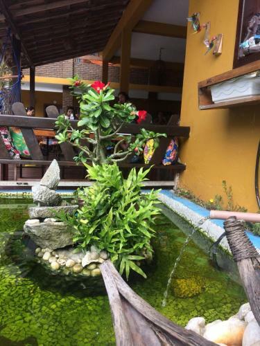 Hostal A Flor Da Terra Pousada