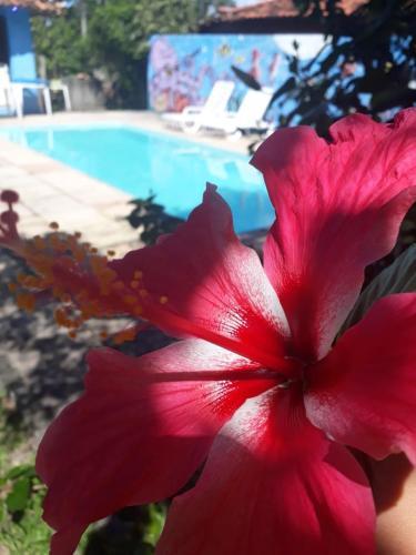 Hostal C�u Azul Pousada