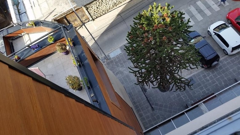 Apartamento Centro Civico