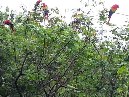 Posada Auto Hotel Para�so Inn