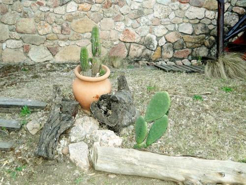 Lodge X Sierras Caba�as