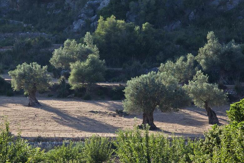 L�hermitage Hotel & Spa
