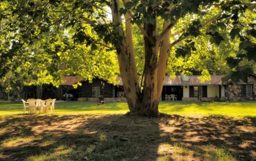Lodge Caba�as Alpendorf