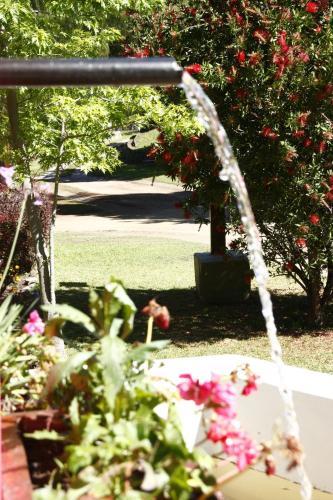 Lodge Caba�as Alpendorf