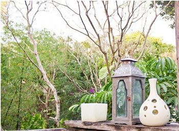 Hotel Eco-lodge Shalala