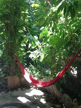 Hotel Eco-lodge Shalala