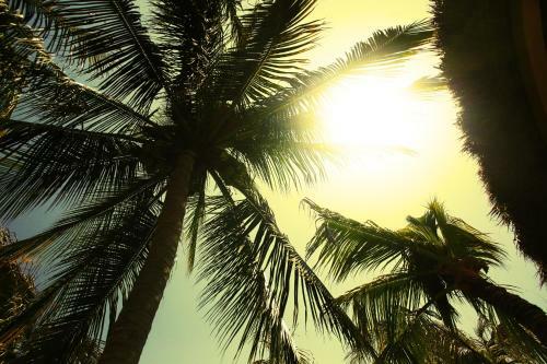 Albergue One Love Hostal Puerto Escondido