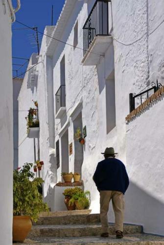 Agroturismo Cortijo Lagar De Luisa
