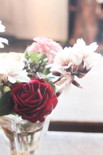Agroturismo Cortijo Los Iberos "casa Ibero"