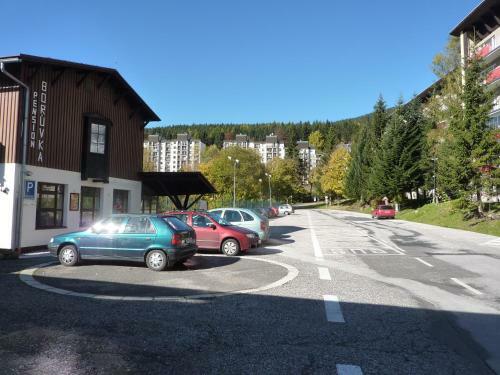 Hostal Pension Boruvka