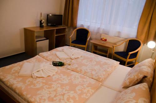 Hotel Z�ti?� Franti?kovy L�zn?