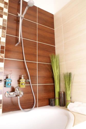 Hotel Palc�t