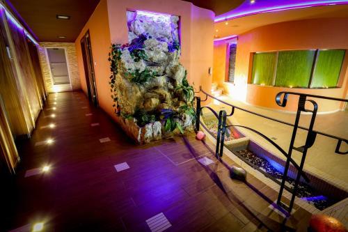 Hotel Palc�t
