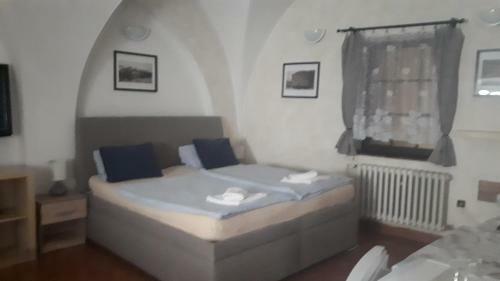 Hostal Penzion A Restaurace Modr� R??e T�bor