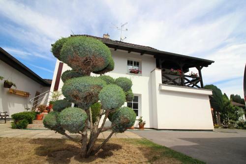 Hostal Penzion Olga