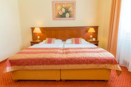 Hotel Ensana Centr�ln� L�zn? - Maria Spa