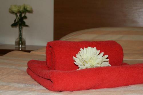 Hostal Penzion V Hlubok�