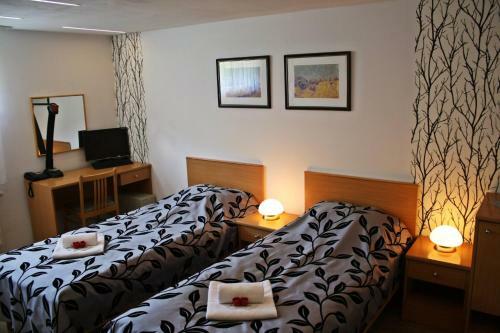 Hostal Penzion V Hlubok�