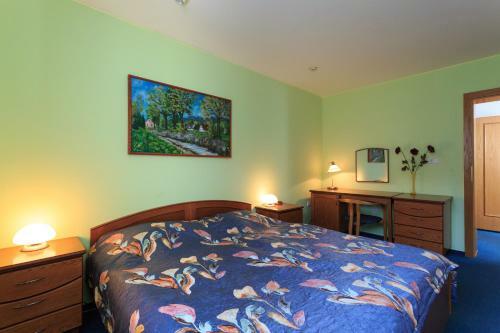 Hostal Penzion V Hlubok�