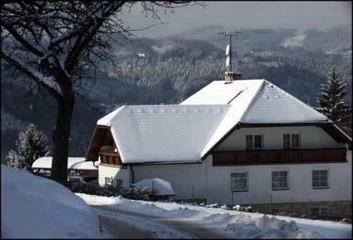 Hostal Penzion V Hlubok�