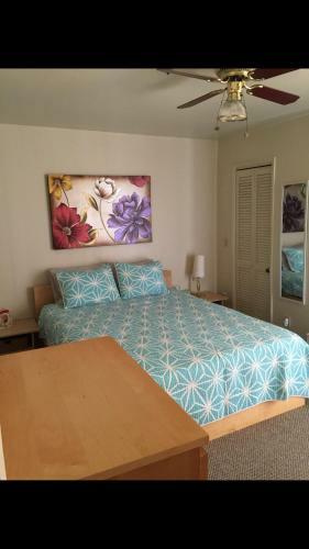 Apartamento Harvard One