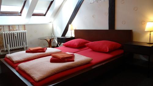 Sokolska Youth Hostel